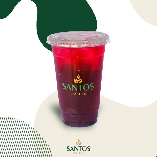 Berry Hibiscus 350ml